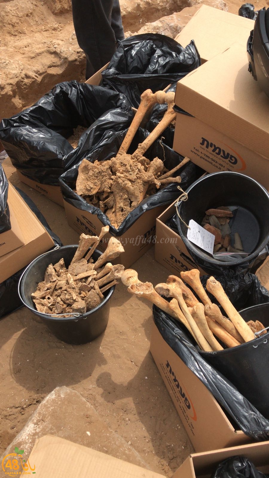 WhatsApp Image 2020-06-17 at 9.30.51 AM.jpeg.jpg.jpg